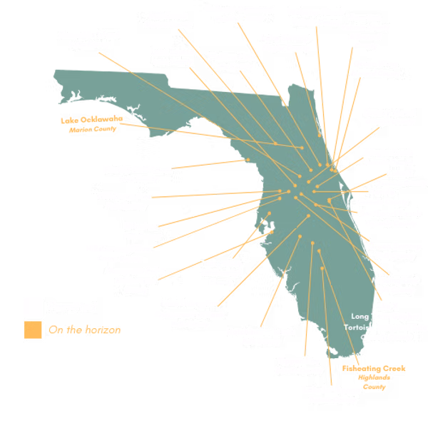 MM Florida Bank Location Map
