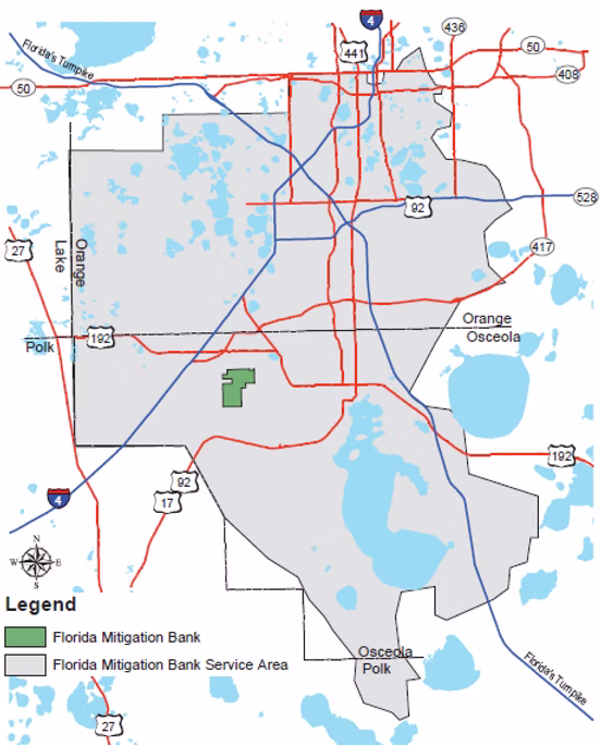 cae7f7_49cd54a0f93e4542bd5976ff6b7daa01~mv2