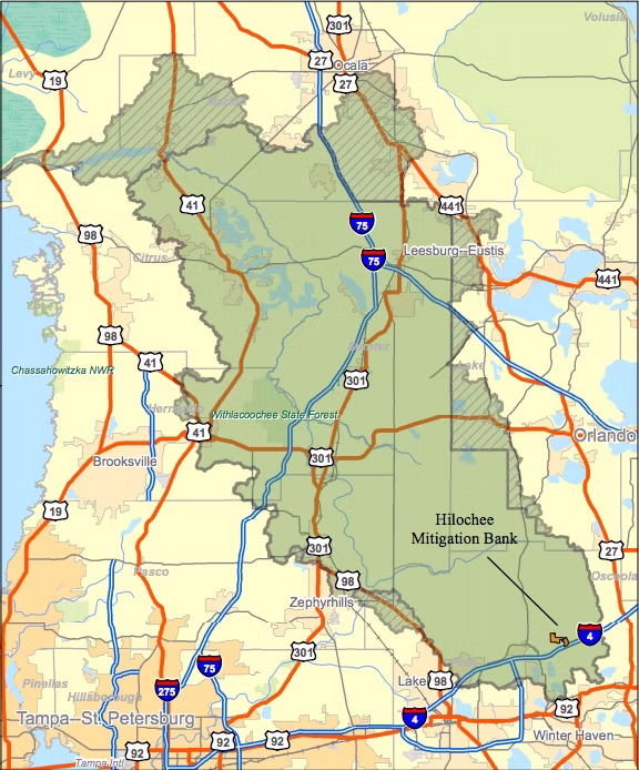 cae7f7_8e5f027128ac43cca515bde08a48d65c~mv2